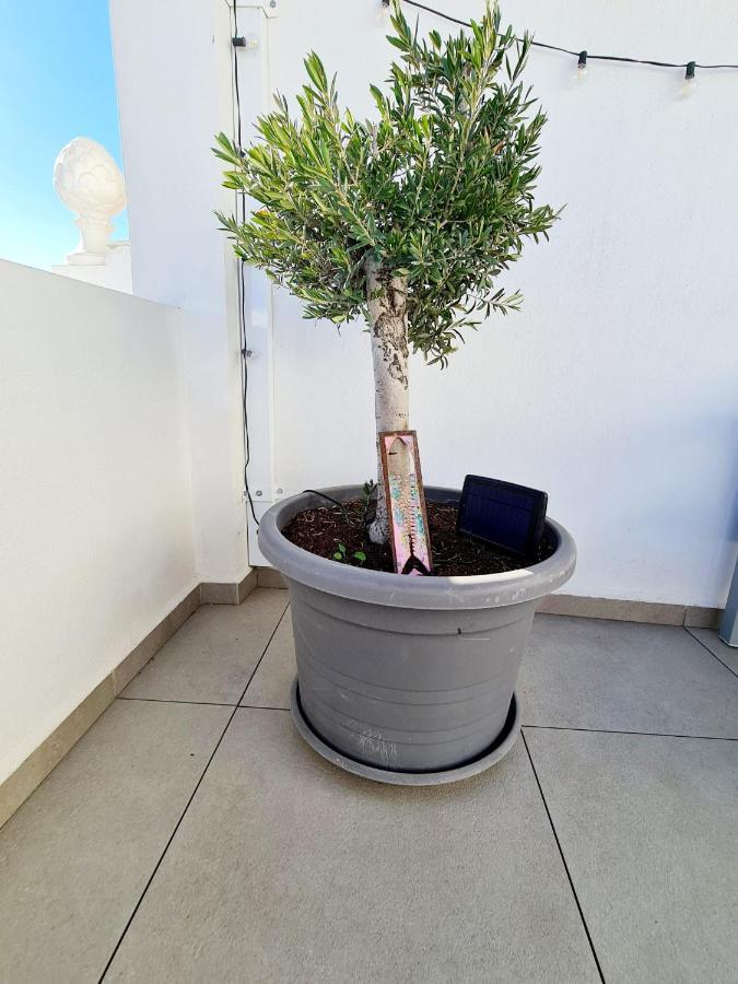 הוילה La Cala Del Moral Casa Sabino מראה חיצוני תמונה